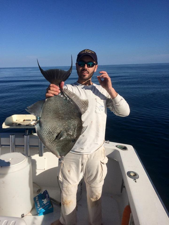 How to clean a triggerfish
