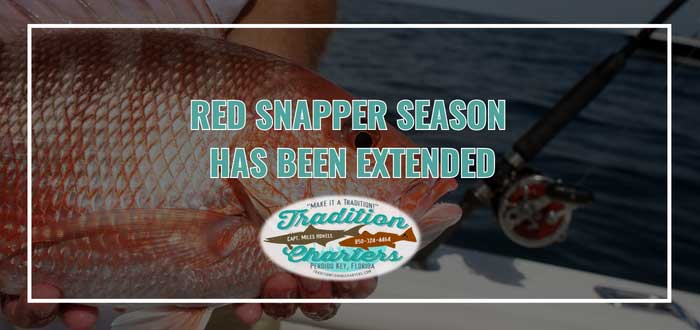 The recreational Gulf red snapper season in Florida has been extended by 17 days, according to an announcement by Governor Ron DeSantis. 